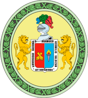 Universidad Nacional Hermilio Valdizán